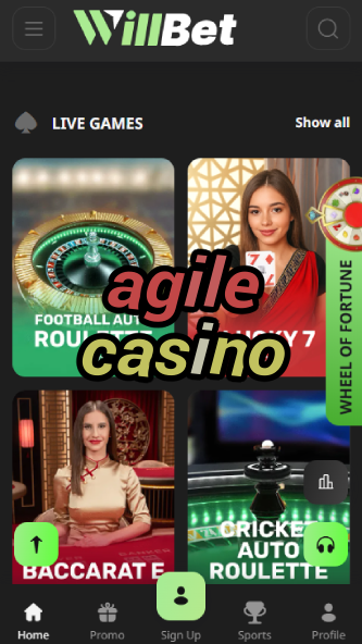 Agile Casino - Fast & Smooth Casino-www.bdqngd.com
